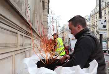 Installation du module Bocage Urbain