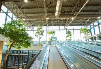 Intérieur centre commercial végétalisation arbres