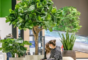 Intérieur centre commercial végétalisation arbres