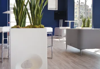 location de bacs et plantes