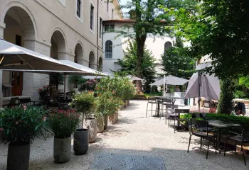 vagétalisation de terrasse ombragée