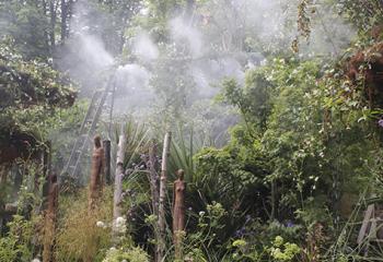 jardins jardin tuilerie