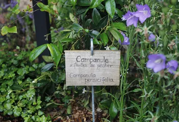 Jardins jardin tuilerie