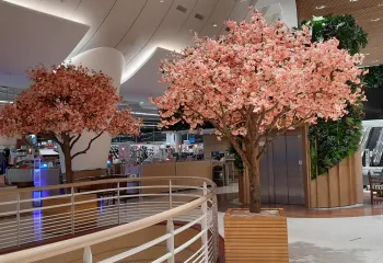 Arbre naturel stabilisé intérieur centre commercial