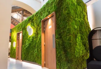 mur végétal intérieur sur mesure sud ouest