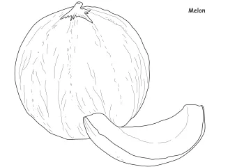 melon