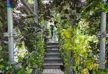 Jardins jardin 2026