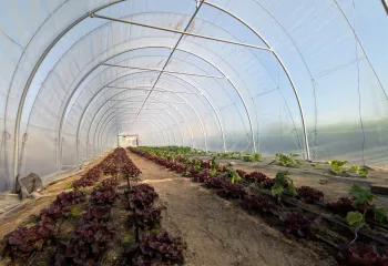 Focus projet : ferme maraîchère municipale de Canteleu (76)