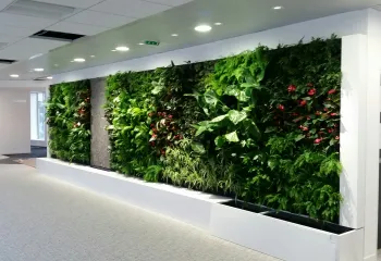 mur végétal intérieur bordeaux