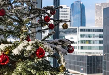 sapin de noel la défense
