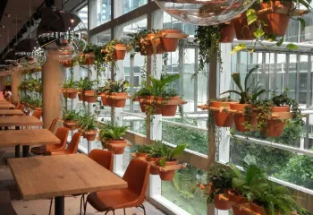 Décoration végétale intérieure