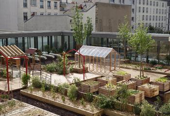 Agriculture urbaine Toiture