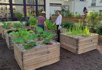 atelier biodiversité