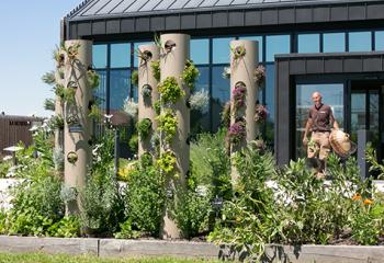 potager d'entreprise jardin vivant