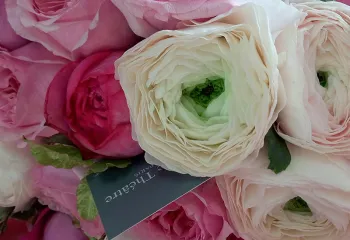 bouquet ile de france