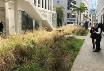 Focus projet : réhabilitation du patio BNP Paribas Real Estate à Nice