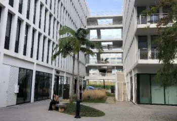 Focus projet : réhabilitation du patio BNP Paribas Real Estate à Nice