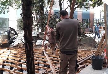 colisee garden en cours jardins de gally