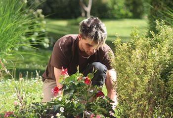 entretien ecologique de jardin