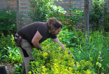 entretien écologique de jardin