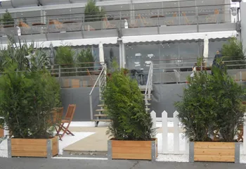 bacs et plantes