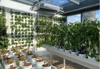 potager d'interieur in vivo
