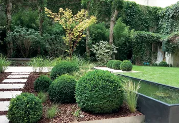 jardin particulier paysagiste