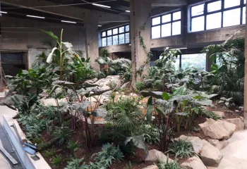 jungle intérieure zoo lyon en cours