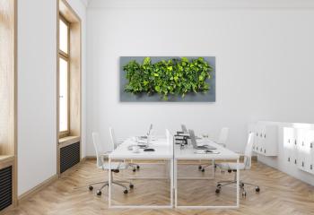 mur végétal d'intérieur