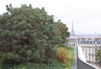 novotel terrasse végétalisée