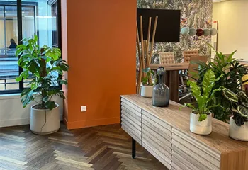 Plantes au bureau