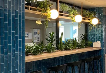 plantes intérieur restaurant