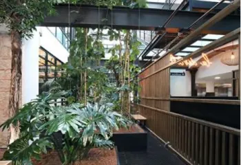 végétalisation bureau