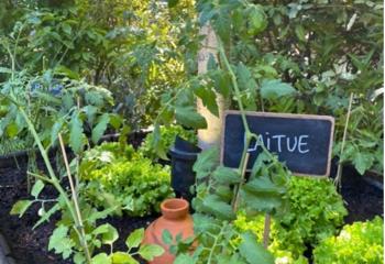 jardin ressource 