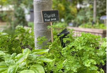 jardin ressource 