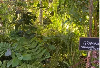 jardin ressource 