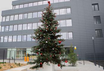 sapin de noel parvis d'entreprise