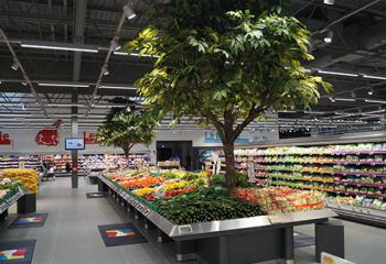 marché arbre reconstitué végétalisation