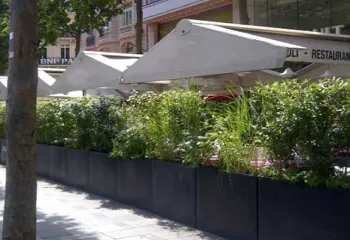 terrasse végétalisée