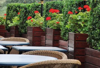 terrasses végétales
