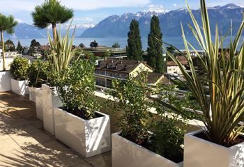 terrasse végétalisée alpes