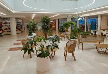 plantes d'intérieurs dans un espace de shooping à Nantes