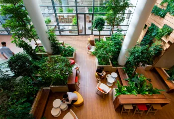 végétalisation intérieure bureaux