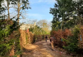 Aménagement paysager du parc de la villa Windsor