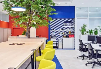  végétalisation des bureaux de Bosh France