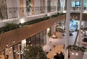 Végétalisation de bureaux en région PACA