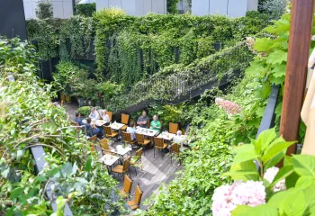 Focus Projet : le rooftop de l'Hôtel Madame Rêve