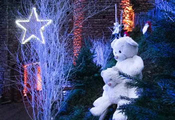 Marché de Noël de Tiffauges Vendée