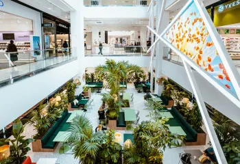 Focus projet : végétalisation intérieure du centre commercial NICETOILE (06)