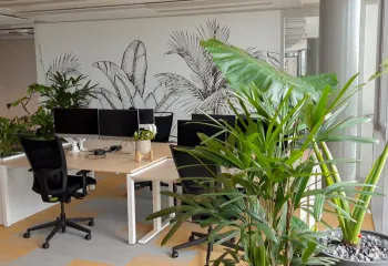 Santé mentale au travail : les bienfaits des plantes dans les espaces de bureau